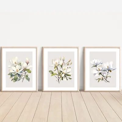 Set Of Magnolia ART PRINTS Wall Picture Home Art (10 X 8” Unframed) • $15.16