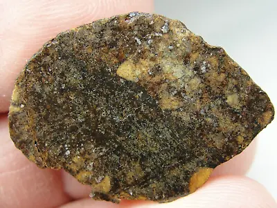NWA 0869 - L3-6-W1-S3 Chondrite Meteorite - 0869-0330 - 9.84g COA - Half Stone • $4.95