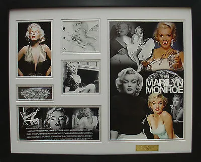 Marilyn Monroe Limited Edition Signature Framed Memorabilia (w) • $99