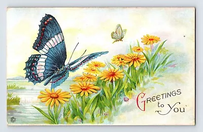 Postcard Blue Butterfly Yellow Daisy 1910s Unposted Stecher Litho 685 E • $3