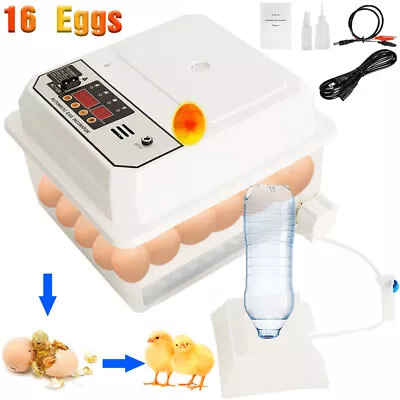 16 Eggs Incubator For Chicken Eggs Led Candler Automatic Egg Turner • $46.49