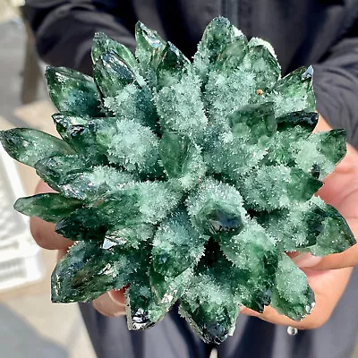 1.1LB New Find Green Phantom Quartz Crystal Cluster Mineral Specimen Healing. • $0.99