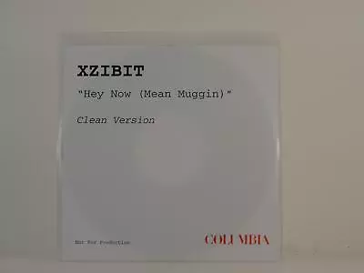 XZIBIT HEY NOW (MEAN MUGGIN) (H1) 1 Track Promo CD Single White Sleeve COLUMBIA • £5.32
