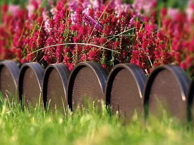 £23.39 • Buy Plastic Garden Fence 10m Boarder Lawn Palisade Edge Patio Fencing BROWN I K R A