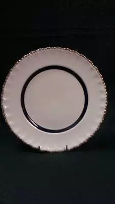 Retro Vintage Cream Petal Porcelain Dinner Plate Grindley England • $24.95