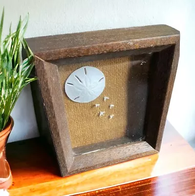 Vtg Sand Dollar Shadow Box Art Wood Frame Beach Nautical Seashell 70s • $29.99