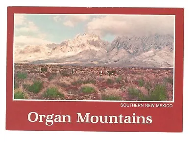 Southern New Mexico Organ Mountains Unused 4X6 Postcard EB91 • $1