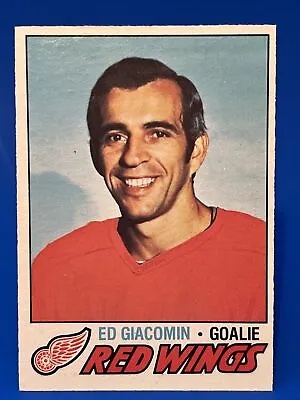 1977-78 O-Pee-Chee Ed Giacomin Card #50 Detroit Red Wings Vintage Goalie Card • $2.74