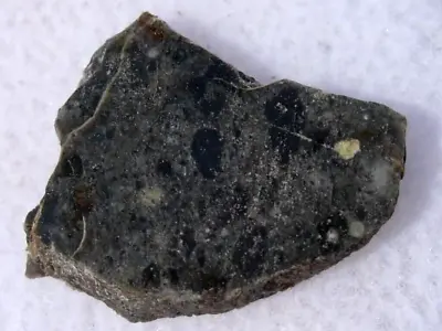 .821 Grams 15x11x2mm Slice NWA 14577 Lunar Fragmental Breccia Meteorite With COA • $54.99