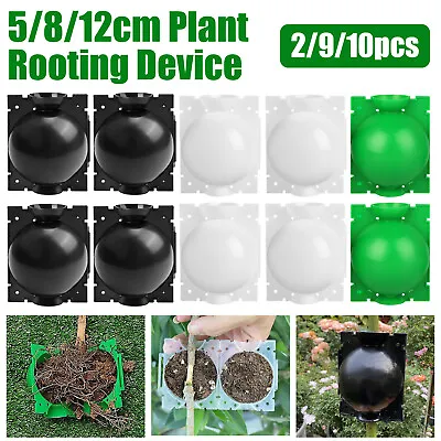 10X High Pressure Propagation Plant Rooting Device Ball Box Growing Graft Garden • $12.98