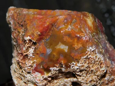 San Carlos Banded Flowergarden Plume Agate Lapidary Cabbing Rough Mexico 12 Oz • $20