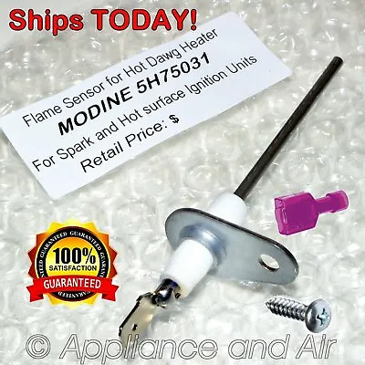 MODINE HD 5H75031 32242 Flame Sensor HD/HDS/PTS/BTS Gas Heater - SHIPS TODAY! • $44.80