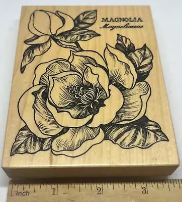 PSX Magnolia Botanical Flower K1556 Rubber Stamp BLOOM BLOSSOM • $29.95