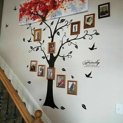 Removable Family Tree Wall Decals Mural Sticker DIY Art-Vinyl Stickers Decor • £9.16