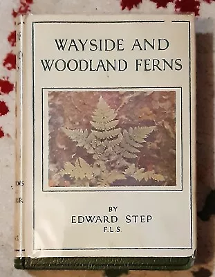 £20 • Buy Wayside And Woodland Ferns By Edward Step. Wayside And Woodland Series