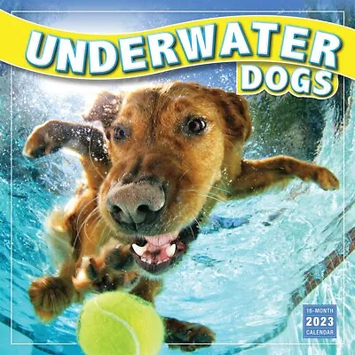 £11.99 • Buy Underwater Dogs Calendar 2023 - Humour - Month To View
