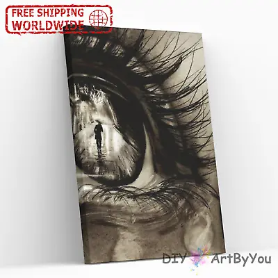 Paint By Numbers Canvas Art Draw Artist Painting Oil Kit Home Eye Reflection • $12.95