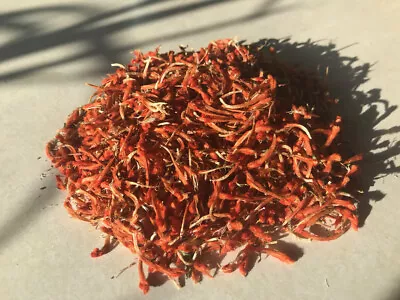 Klip Dagga Dried Flowers - Leonotis Nepetifolia • $20