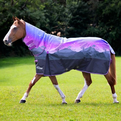 £50 • Buy Shires Highlander Original 100g Combo Neck Turnout Rug - Spring Morning