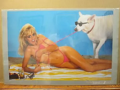 Vintage 1987 Man's Best Friend Sam Maxwell Original Hot Girl Poster 12012 • $39.97