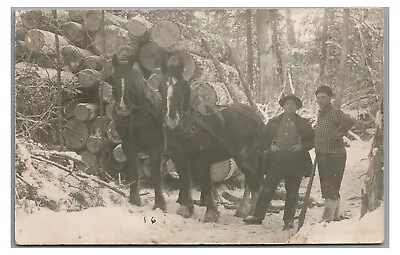 RPPC Deep Woods Logging Horse Drawn Sled Of Logs Vintage Real Photo Postcard • $14.99