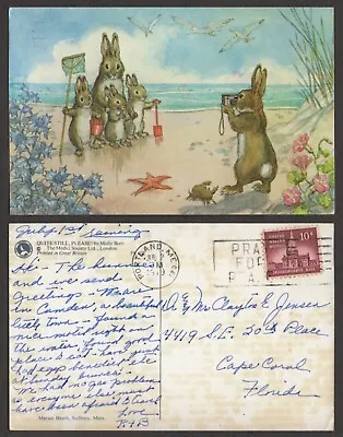 1979 Artist Signed Postcard - Molly Brett - Anthropomorphic Rabbits Camera • $3.99