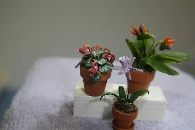 3 Potted Miniature Flowers • $12.99