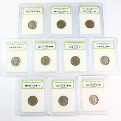 Group Lot Of 10 Slabbed U.S. Buffalo Nickels • $23.50