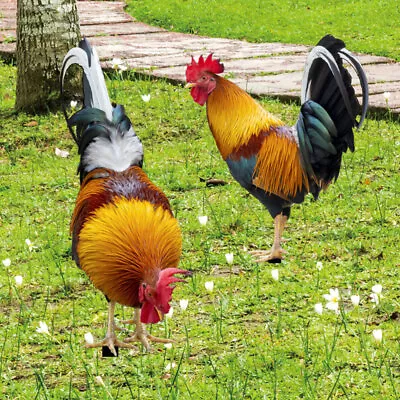 Outdoor Rooster & Chicken Metal Art Stakes For Garden & Yard Decoration • £12.98