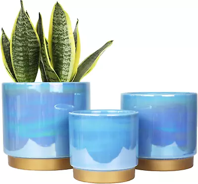 Ceramic Pots For Plants • $42.34