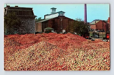 Postcard West Virginia Martinsburg WV Apple Cider Vinegar 1960s Unposted Chrome • $12