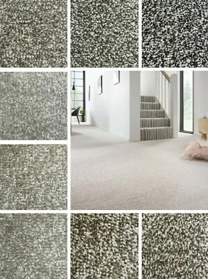 £215.99 • Buy Carpet Budget Saxony Carpet 4m Lounge Bedroom Hallway Carpets Cheap Heavy Duty 