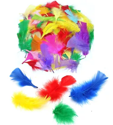 Craft Feathers Large Small Mixed Sizes Coloured Fluffy Childrens Arts And Craft • £1.99