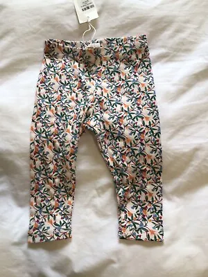 Catimini Flower Leggings 6m Nwt • $5