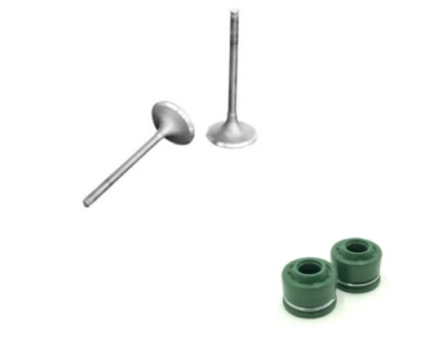 $39.95 • Buy Suzuki Lt4wd Ltf250 Ltf4wdx King Quad Quadrunner Intake Exhaust Valve Set Valves