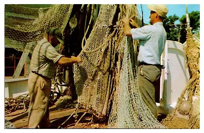 Vintage Fishermen Mending Their Nets Cape Cod MA Postcard • $2.99