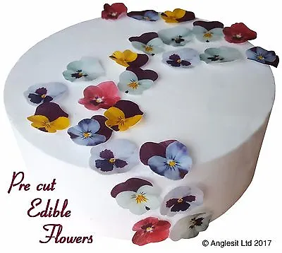 Pre-cut Pansies Edible Flowers Wafer Paper Cup Cake Toppers Decorations • £4.33