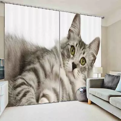 Grey Fat Cat Confused 3D Curtain Blockout Photo Printing Curtains Drape Fabric • $205.47