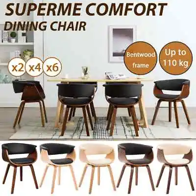 $219.99 • Buy  1/2/4/6x Solid Wood Bent Dining Chair Dinner Furniture Multi Colors VidaXL