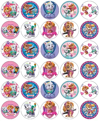 Paw Patrol Skye Everest 30 Cupcake Toppers Edible Wafer Paper Fairy Cake Toppers • £2.70
