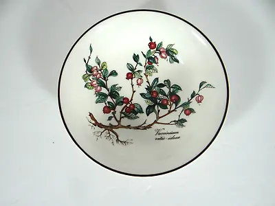 Villeroy & Boch Botanica All Purpose Bowl 5 1/2  Vaccinium • $26.24