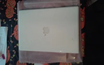 Apple MacBook A1181 13  LCD Back Cover Rear White LCD Back Top Cover For A1181   • $10.95
