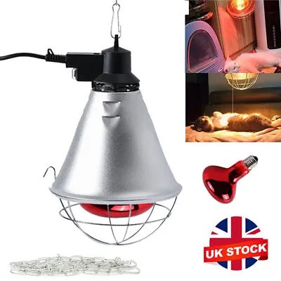 INFRARED HEAT LAMP & BULB Ruby 250w. For Poultry Chicks Dogs Puppies Cats • £19.79