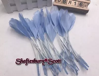 LONG LIGHT BLUE  Stripped Coque  Feathers X 10 Pcs Fascinators Millinery Crafts • £4.99