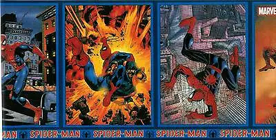  Spiderman  Marvel Comics Spiderman Wallpaper Border • $4