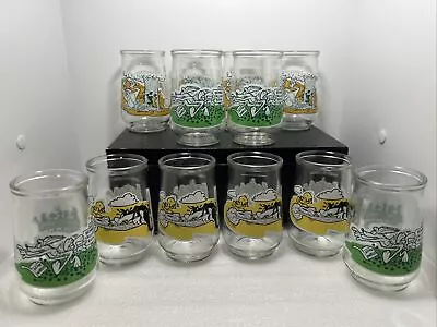 Vintage Welch's Looney Tunes Jelly Jar Set Of 12 Unused 1995 Special Edition • $44.98