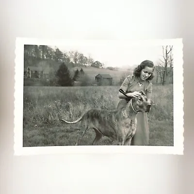 Holding Great Dane's Ears Photo 1950s Olympia Washington Pet Dog Girl B3055 • $29.95
