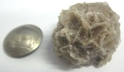 $13.99 • Buy Desert Rose Stone Selenite Natural Crystal 26.3 Grams Medium Sized Specimen Us