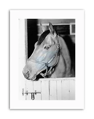 Animal Seabiscuit Racehorse Stall Vintage Sport Portrait Canvas Art Print • £13.99