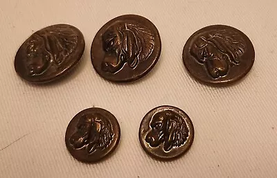 5 Vintage Brass Dog Button's • $18